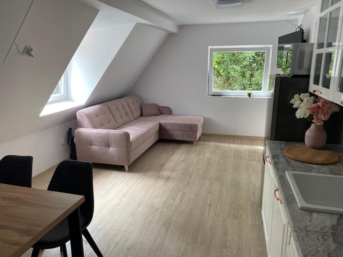 Mega Widok 2 Apartment Шклярска Поремба Екстериор снимка